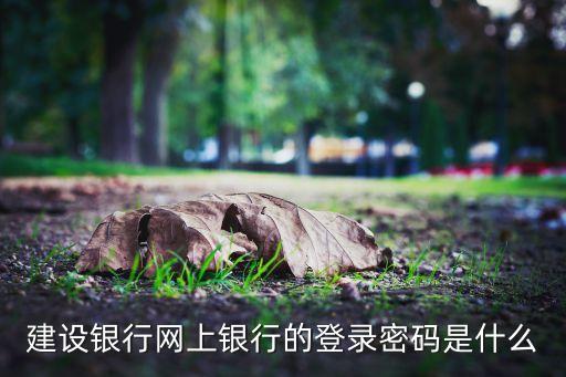 建設(shè)銀行網(wǎng)上銀行的登錄密碼是什么