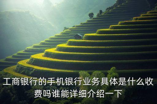 手機(jī)銀行包不包括什么東西嗎，農(nóng)行手機(jī)銀行里的資產(chǎn)包括定期存單嗎