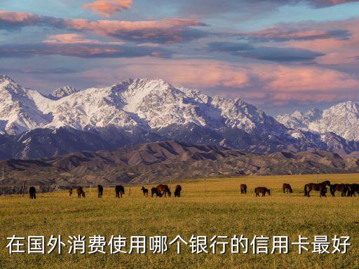 在國外消費使用哪個銀行的信用卡最好
