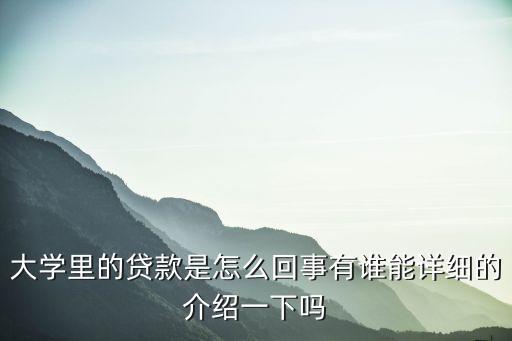 大學(xué)里的貸款是怎么回事有誰(shuí)能詳細(xì)的介紹一下嗎