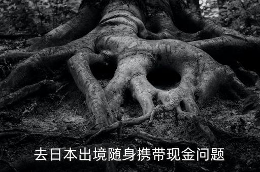 去日本出境隨身攜帶現(xiàn)金問題