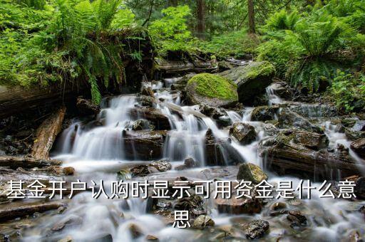 目前可用資金是指什么意思，黃金遞延交易里面可用資金是什么意思