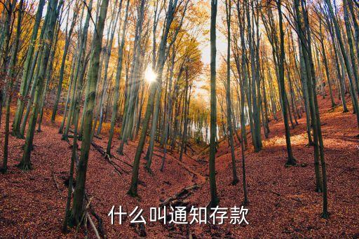 什么叫通知存款