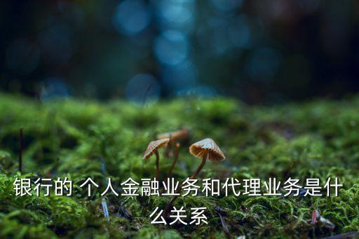 銀行的 個人金融業(yè)務(wù)和代理業(yè)務(wù)是什么關(guān)系
