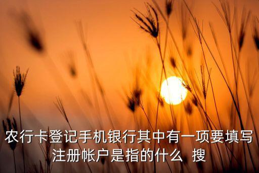 農(nóng)業(yè)掌上銀行注冊(cè)賬戶是什么意思，農(nóng)行卡登記手機(jī)銀行其中有一項(xiàng)要填寫(xiě)注冊(cè)帳戶是指的什么  搜