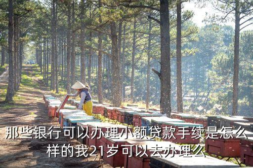 那些銀行可以辦理小額貸款手續(xù)是怎么樣的我21歲可以去辦理么