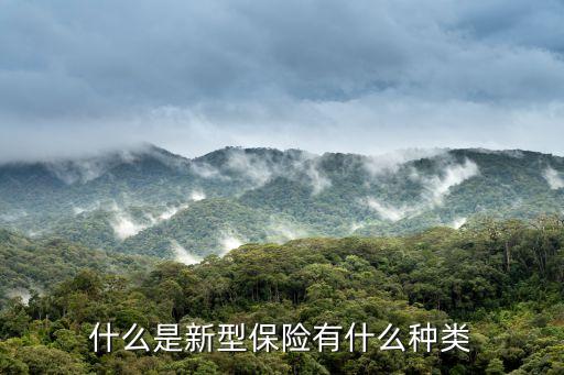 新型保險(xiǎn)是什么，住院結(jié)算上面寫的結(jié)算類型是新醫(yī)療保險(xiǎn)新醫(yī)療保險(xiǎn)是什么保險(xiǎn)