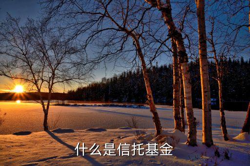 什么是信托基金