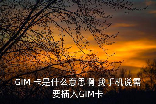 GIM 卡是什么意思啊 我手機說需要插入GIM卡