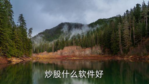 炒股什么軟件好