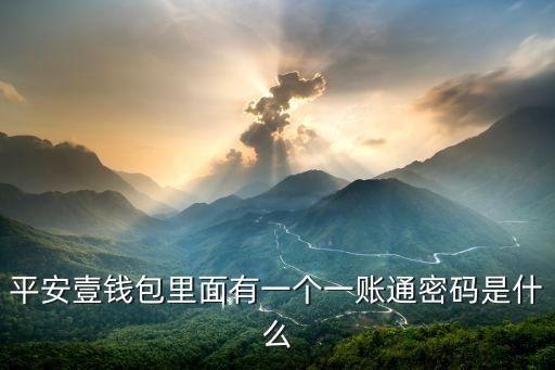平安壹錢包里面有一個(gè)一賬通密碼是什么