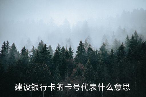 建設銀行卡的卡號代表什么意思