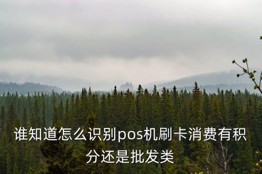 誰(shuí)知道怎么識(shí)別pos機(jī)刷卡消費(fèi)有積分還是批發(fā)類(lèi)