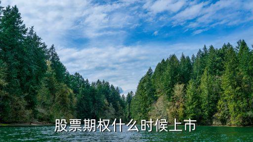 股票期權(quán)什么時(shí)候上市