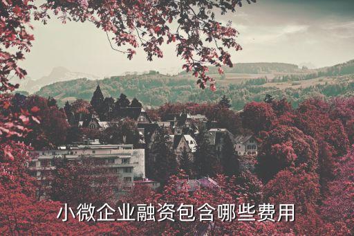 商業(yè)銀行小微金融包括什么，什么是微型金融