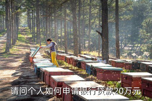 請(qǐng)問(wèn)個(gè)人如何申請(qǐng)銀行貸款20萬(wàn)元