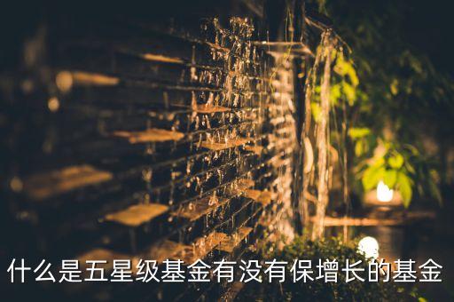 什么是五星級基金有沒有保增長的基金