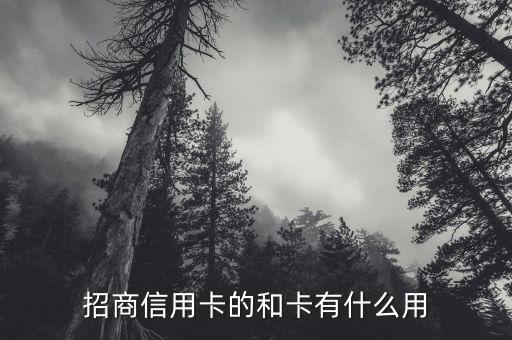 招商和卡有什么用，招商普通信用卡和和卡能同時有么有什么用