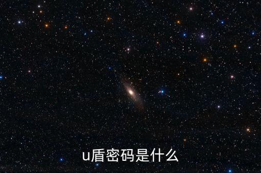 u盾密碼是什么