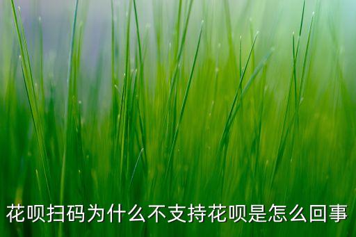 有的不支持花唄付款是什么意思，為什么該商戶不支持花唄支付