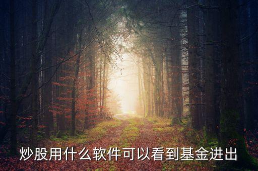 炒股用什么軟件可以看到基金進出