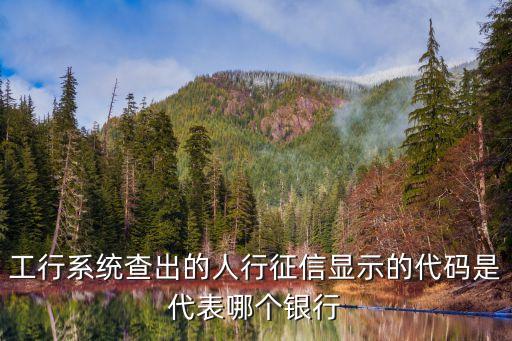 工行系統(tǒng)查出的人行征信顯示的代碼是代表哪個(gè)銀行