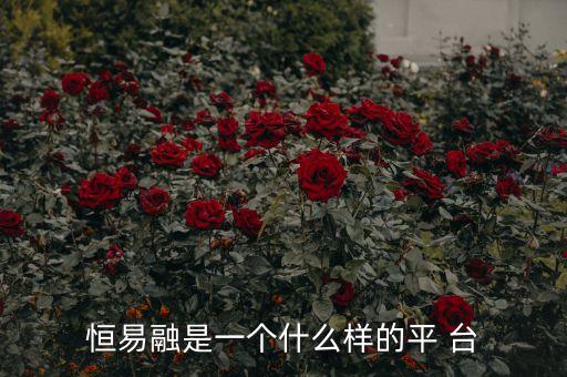 恒易融是干什么得，多樂融恒易融有什么關系