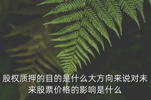 股權(quán)質(zhì)押的目的是什么大方向來說對未來股票價格的影響是什么