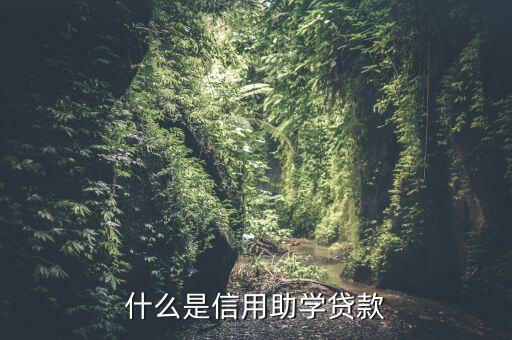 什么是信用助學(xué)貸款