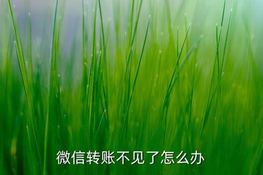 為什么微信轉(zhuǎn)賬沒了怎么辦，微信轉(zhuǎn)賬不見了怎么辦