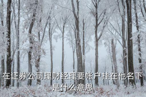 證券加掛賬號是什么意思，證券賬號指的是什么