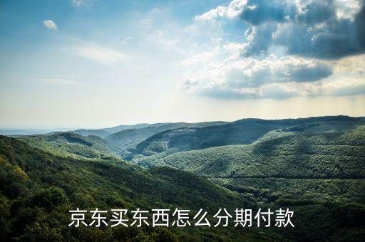 京東買東西怎么分期付款
