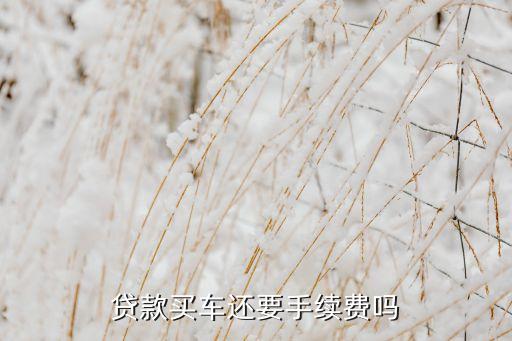 銀行貸款車什么手續(xù)費(fèi)，貸款買車需要交什么費(fèi)用
