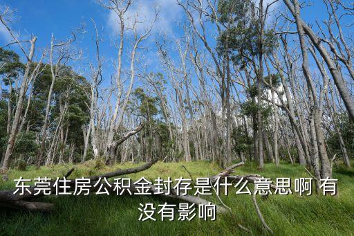 東莞住房公積金封存是什么意思啊 有沒有影響