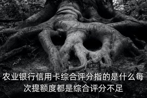 農(nóng)業(yè)銀行信用卡綜合評(píng)分指的是什么每次提額度都是綜合評(píng)分不足