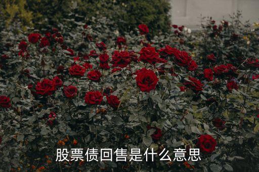 股票債回售是什么意思