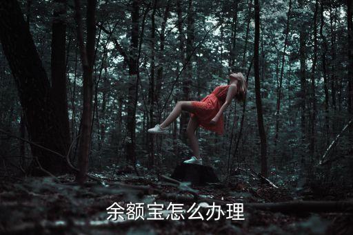 什么方式才符合余額寶，未成年人開余額寶步驟是什么