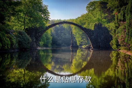 什么是貼息存款