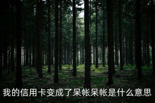 信用卡什么叫呆帳，信用卡成呆帳是什么意思