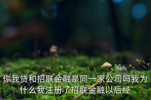 你我貸屬于什么公司，你我貸是哪個(gè)公司的