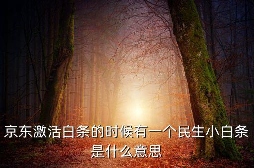 京東小白是什么意思，京東小白條驗證支付密碼是什么意思