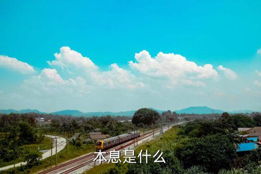 會員會本息息是指什么意思，本息是什么