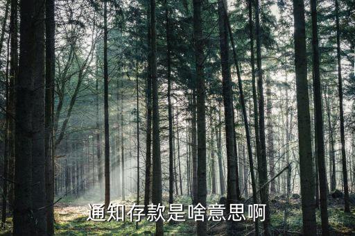 建通知存款是什么意思，通知存款是啥意思啊
