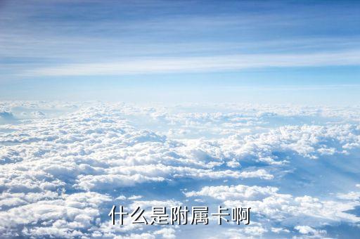 什么是附屬卡啊
