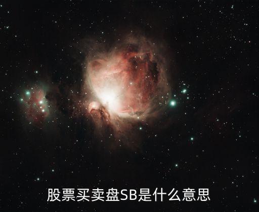 股票sb是什么意思，股票買賣盤(pán)SB是什么意思