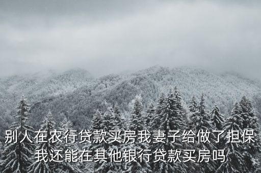 別人在農(nóng)行貸款買房我妻子給做了擔(dān)保我還能在其他銀行貸款買房嗎