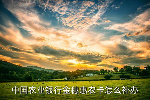 惠農(nóng)卡掛失了怎么辦理，中國農(nóng)業(yè)銀行金穗惠農(nóng)卡怎么補(bǔ)辦