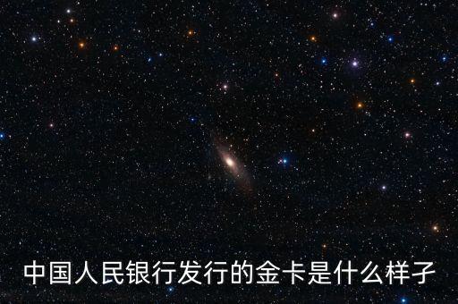 中國(guó)人民銀行發(fā)行的金卡是什么樣孑