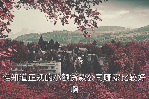 誰知道正規(guī)的小額貸款公司哪家比較好啊