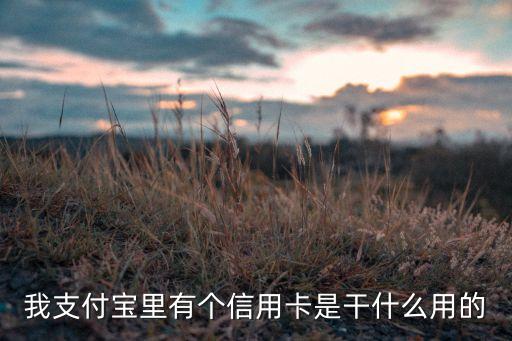 我支付寶里有個信用卡是干什么用的